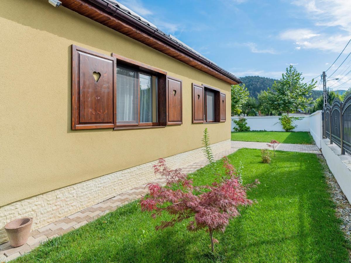 Casa Saraste Hotel Risnov Exterior photo